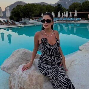 ZARA NWT RUFFLED LONG ANIMAL ZEBRA PRINT DRESS SMALL S VIRAL BLOGGER 8474/470